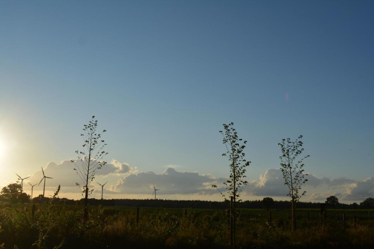 Grafenland